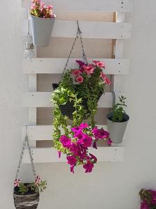 Fotografie z fotogalerie ubytování Apartment Mirjana v destinaci Makarska