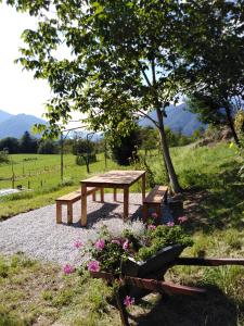 a picnic table and bench under a tree in a field at PRENOČIŠČE 9a in Tolmin