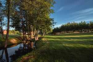 Afbeelding uit fotogalerij van Vėjo Malūnų sodyba in Paserninkai