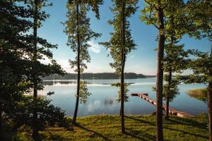 - Vistas al lago a través de los árboles en Vėjo Malūnų sodyba en Paserninkai