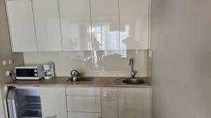 Kuchyňa alebo kuchynka v ubytovaní Apartament Czarna Góra S6