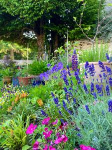 a garden filled with lots of purple and purple flowers at Grove House in Leyburn
