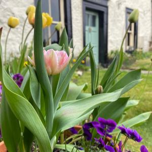a bouquet of flowers in front of a house at Grove House in Leyburn
