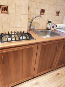 Dapur atau dapur kecil di Centrum Apartament Sędziego