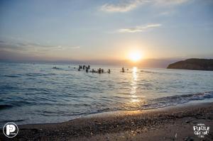 Gallery image of Elizabeth Hotel in Kallithea Halkidikis