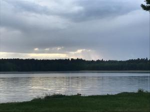 アウグストゥフにあるPokoje i domki nad Kanałem Bystrymの木々が茂る大きな湖の景色