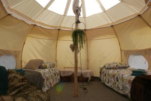 une tente avec 2 lits et une plante. dans l'établissement Magnolia Park, à Engure