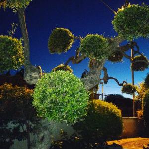 Photo de la galerie de l'établissement B&B Villa Lucia, à Bari