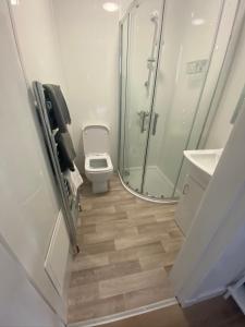 a bathroom with a shower and a toilet at Ayr Riverside Apartments in Ayr