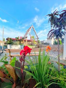 Zahrada ubytování Apartament Art Cluj