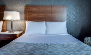 Postel nebo postele na pokoji v ubytování Monte Carlo Inn Markham