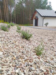 a gravel driveway with a building in the background at Żurawia Polana in Świętajno