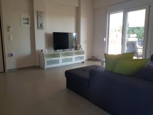 TV a/nebo společenská místnost v ubytování Lagonisi Apartment