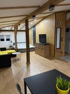 Televízia a/alebo spoločenská miestnosť v ubytovaní Apartamenty ToTuGdynia 8
