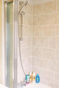 a shower in a bathroom with a sink at Wentworth Lodge in Tydd Saint Giles
