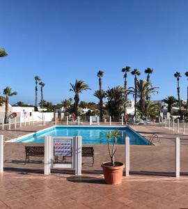 una piscina con 2 bancos y palmeras en Casa Beatriz, en Playa Blanca