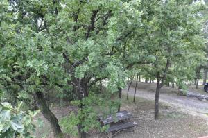 Fotografie z fotogalerie ubytování kuća za odmor Krašić v destinaci Donje Prekrižje