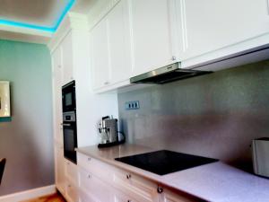 Kuchyň nebo kuchyňský kout v ubytování Fűzliget Mangó Terrace
