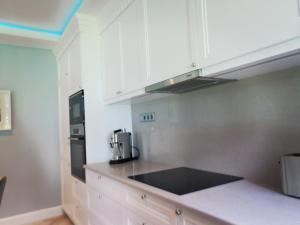 Kuchyň nebo kuchyňský kout v ubytování Fűzliget Mangó Terrace