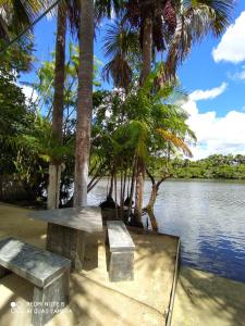 two benches sitting next to a lake with palm trees at Chalé Marinas in Barreirinhas