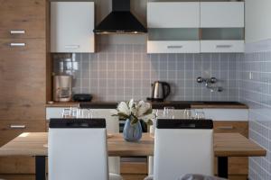 Kuchyň nebo kuchyňský kout v ubytování Apartments Prince