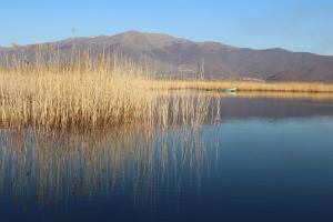 un lago con erba alta e una barca in acqua di Kivotos Epavlis a Prespes