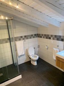 a bathroom with a toilet and a shower and a sink at Caserio en Elorrio in Elorrio