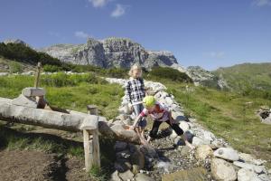 Paesaggio naturale nelle vicinanze dell'affittacamere