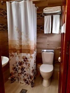 y baño con aseo y cortina de ducha. en Hotel Anagennisis en Frý