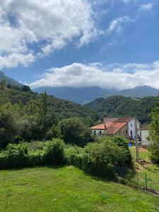 a green field with a house and mountains in the background at Apartamento LLAR DEL CARES in Arenas de Cabrales