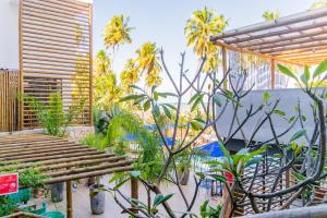 Vila de Taipa Exclusive Hotel في جاباراتينغا: حديقة فيها نخيل ومقعد خشبي