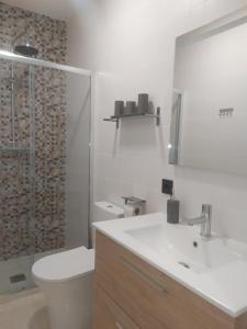 a bathroom with a sink and a toilet and a shower at Apartamentos Cordoba in Córdoba