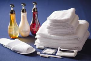 Fotografie z fotogalerie ubytování Hotel Tokyo Garden Palace v Tokiu