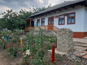 uma casa com um quintal com flores em frente em Pensiunea turistica "Casa rustica" em Chişcăreni