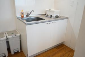 uma cozinha com um lavatório e uma bancada em Culinary Bed&Art 404 em Hamamatsu