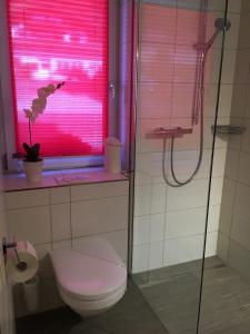 a bathroom with a shower and a toilet and a window at Haus Lechner Apartments in Sankt Jakob in Haus