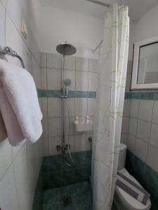 プサコウディアにあるApocalypsis Studios-Apartmentsのバスルーム(シャワー、トイレ、洗面台付)