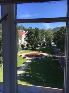 Príroda v okolí rezortu