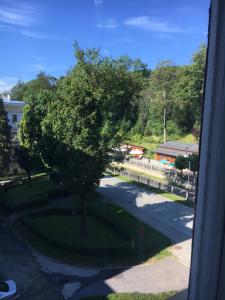 Príroda v okolí rezortu