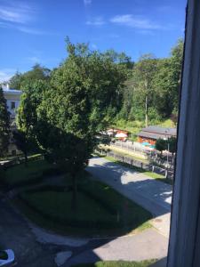 a view of a tree from a window at Stary Dom Zdrojowy in Krynica Zdrój