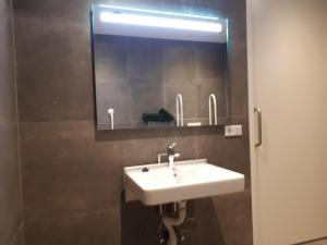 Koupelna v ubytování B&B In de Wei
