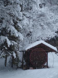 Gallery image of Gasthof Schaber in Pettnau