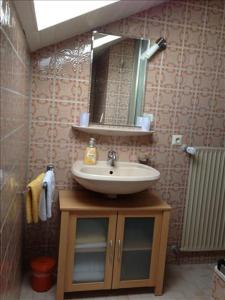 a bathroom with a sink and a mirror at Ferienwohnung Mühlbach in Isny im Allgäu