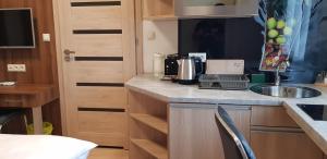 Kuchyňa alebo kuchynka v ubytovaní Metropolis Apartamenty Centrum