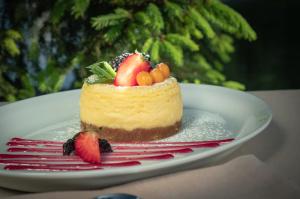 a piece of cake with fruit on a white plate at Aquarius in Podgortsy