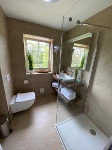 a bathroom with a toilet and a sink and a mirror at Tom's Hof in Dierhagen