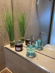 a bathroom counter with jars and plants on it at Tom's Hof in Dierhagen