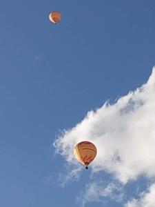 ドンムにあるChambre Romantiqueの空を飛ぶ熱気球