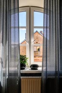 a window with blue curtains and a plant on a window sill at Modern studio - 10min walk to the sea in Liepāja