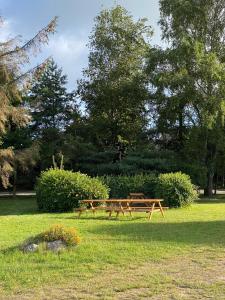 dwa drewniane stoły piknikowe siedzące w parku w obiekcie Tom's Hof w mieście Dierhagen